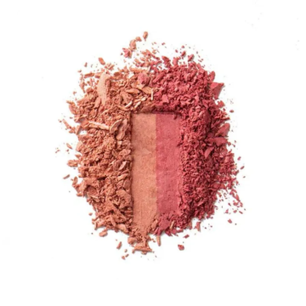 BLUSHED POWDER DUO GINGER