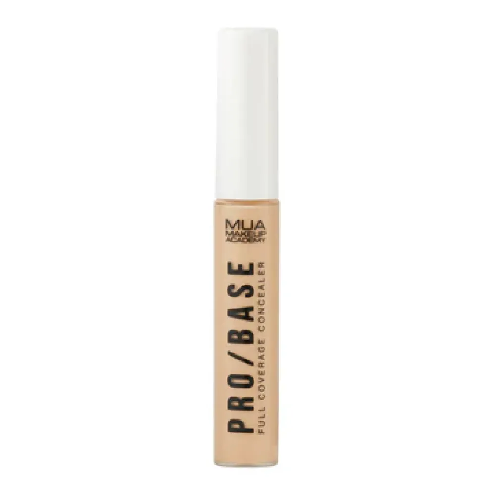 PRO/BASE CONCEALER #130