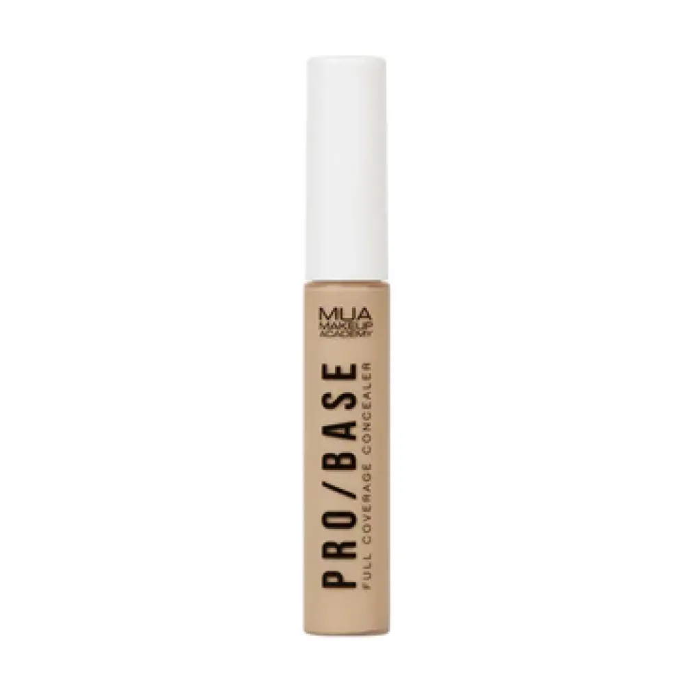 PRO/BASE CONCEALER #142